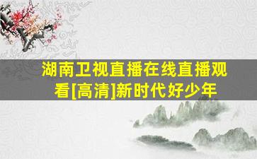 湖南卫视直播在线直播观看[高清]新时代好少年